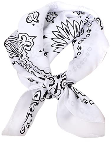 FAIRYGATE Halstuch 100% Seide Damen Quadratisch Damen Seidenschal elegant und leicht 100% Seide Business Schal geeignet für alle Gelegenheiten DA2212