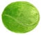 Plüsch American Football Kissen, 55 * 35cm Flauschige Fußball Kissen, weiche Sport Ball interaktive Fußball kreative Zimmer Dekorationen Geburtstag Party Geschenk für Kinder (Tennisball)
