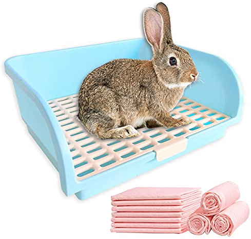 Bac à litière carré surdimensionné pour petit animal domestique, petit rat, grand format, bac à litière pour petit animal, grand lapin, cochon d'Inde, furet