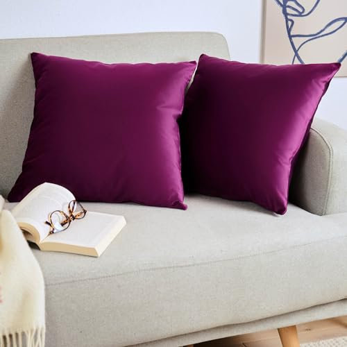 Blumtal 2er Set Kissenbezug 45x45 cm Violett - dekorativer Samt Kissenbezug mit verstecktem Reißverschluss, Kissenhülle für Zierkissen Deko-Kissen Polster Sofakissen & Couchkissen, waschbar