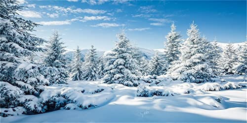 BELECO 6x3m Stoff Winter Schnee Wald Hintergrund weiß Weihnachtsbäume Winter Szene Alpen Fotografie Hintergrund für Weihnachten Neujahr Event Party Dekorationen Banner Foto