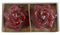 BLUECHOLON Candele decorative a forma di rosa rossa/bianca. Set di 2 candele profumate galleggianti. Candele Scatola Regalo (Rosso)