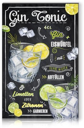 Cocktail Rezepte 20x30cm Alu Schild Deko Metallschild Dekoration für Bar Theke Pub Küche Cafe Geburtstag Geschenk Rezept RV003 (13 Gin Tonic)
