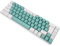 YUEHISY 68 Chiave Compact RGB Tastiera Cablata di Gioco Retroilluminato, Design Ergonomico con Chiavi Tattili, Compatibile con PC e Laptop (Blocco di colore verde bianco)