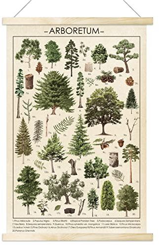 Tevxj Vintage Baum Poster Pflanze Wandkunst Drucke Rustikaler Stil von Arboretum Wandbehang Illustrative Referenztafel Poster für Wohnzimmer Büro Klassenzimmer Schlafzimmer Spielzimmer Esszimmer Dekor