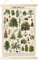 Tevxj Poster vintage con albero e piante, stampe artistiche da parete, stile rustico di arboreto, da appendere alla parete, poster illustrativo per soggiorno, ufficio, aula, camera da letto, sala