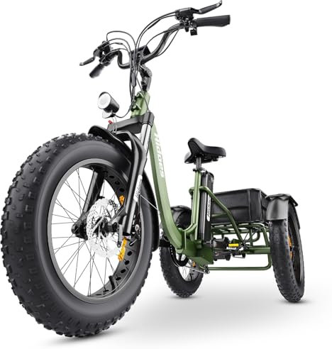 HIDOES ET1 Tricycle Adulte Electrique, 20 x 4 Pouces Fat Tire Velo Pliant Adulte avec Batterie Lithium Amovible 48V 20Ah & Moteur 250W 25km/H, Urbain Camping Fret Velo Electrique pour Homme et Femme