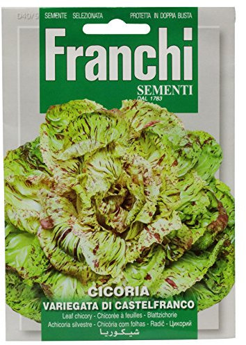 Franchi Samen Blattzichorie Castelfranco