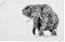 MAXWELL & WILLIAMS Marini Ferlazzo, Tuch mit Wombat Design