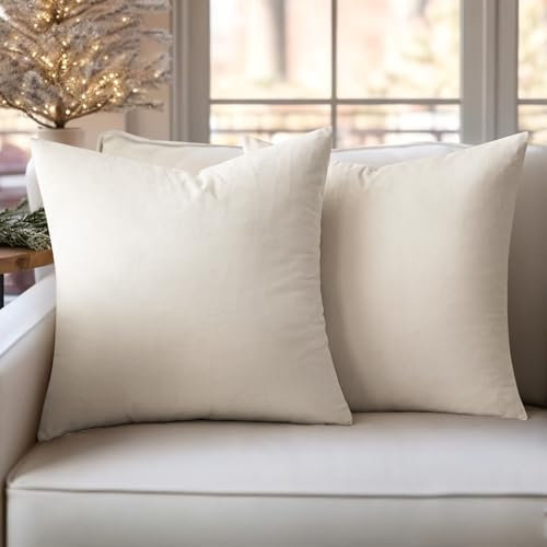 Slozzi 2er Set Samt Kissenbezüge Haushalt Dekokissen Dekorative Kissenhülle Weich Sofakissen für Sofa Schlafzimmer Wohnzimmer 50x50 cm Creme Weiß
