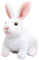 Wishstar Ostern Hase Plüschtier, Kaninchen Kuscheltier für Kinder Stofftier Schmusetier zum Kuscheln & Spielen, Hase Plush Für Mädchen Jungen，Niedliche Ostergeschenke für Kinder (Weiß Hase 20cm)
