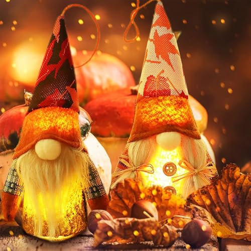 REGAPOG Herbstdeko Wichtel, 2 Stück Herbst Dekoration Wichtel Figuren Mit Licht, Handgemachte Erntedankfest Gesichtslose Puppe Zwerg, Herbst Zwerg Plüsch Das Erntedankfest (Herbst 1)
