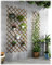 LTSRLL Treillis en Bois Extensible 44cm X 23cm ~ 300cm X 120cm Panneaux De Clôture en Treillis De Jardin Rivetés, Support De Vignes De Fruits Et Légumes pour Terrasse, Cour, Décoration Murale(H65)
