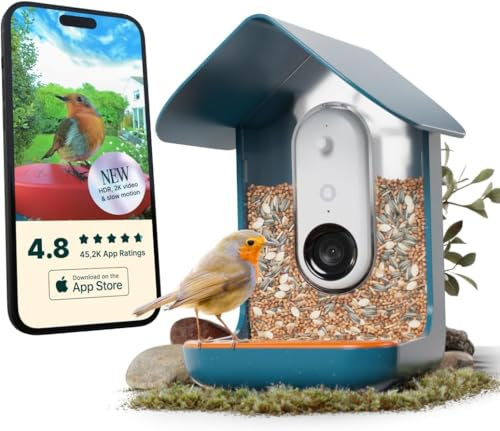 Birdbuddy PRO Smart Vogelfutterstation mit Kamera ohne Solar – KI-Vogelarten-Identifikation, 5-MP-Fotos, 2K-HD-Video-Live-Stream-Kamera, Zeitlupenvideo, 6,6 cm Fokus – Blau – nicht solarbetrieben