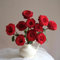 500 pcs rosensamen zum einpflanzen, rosen samen, balkonblumen, nachhaltige geschenke für frauen kletterrosen winterhart wiesenblumen samen, geschenk garten bienenfreundliche blumensamen,