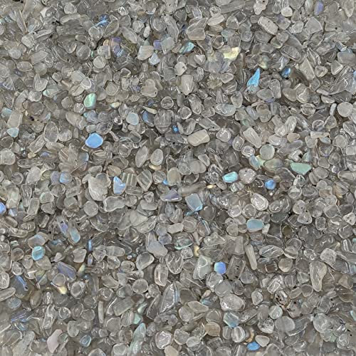 CZAOINCU 50g Pack Naturel Gris Moonstone Chip Gravier Labradorite Pierre Cristal Gemstone Home Room Aquarium Collecte à Domicile
