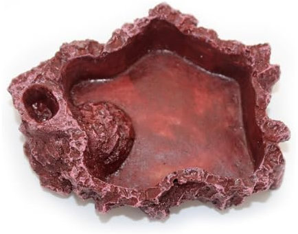 AYVRUOP Ciotola per rettili, abbeveratoio per tartarughe di terra,Durevole, imita la natura selvaggia, adatto alla maggior parte dei piccoli animali da arrampicata