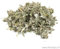 Floranjou - Framboisier feuille - 1 kg - Nom botanique : Rubus idaeus