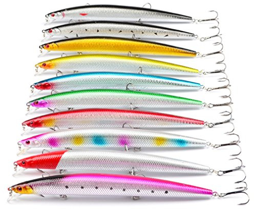 CHSEEO Kit di Esche da Pesca, 10Pcs Artificiale Richiamo Set Crankbaits Swimbait Cucchiaini Attrezzatura Esche Artificiali Perfetto per Pesca #5