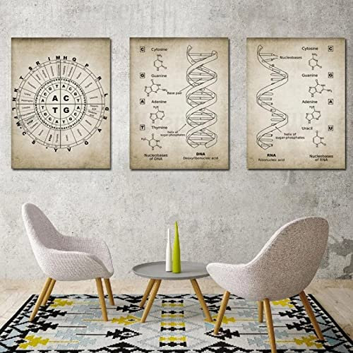 WTEVMAIY Retro Poster DNA und Rna Genetischer Code Leinwand Bild Wand Bilder Poster Kunstdruck Genetik Biologie Chemie Labor Klassenzimmer Wanddekor Rahmenlos 50×70cm×3pcs