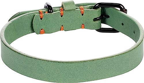 Flamingo Halsband LEANO GRÜN S/M 31-39CM 20MM