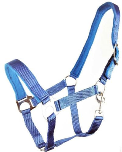 Brama West Halfter Pferd River - Stallhalfter Pferdehalfter - Einfach - Gepolstert (Blau, Full)