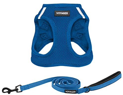 Best Pet Supplies Voyager Step-in Air, Allwetter-Mesh-Geschirr und reflektierende Hundeleine, 1,52 m, Kombination mit Neopren-Griff, für kleine, mittelgroße und große Rassen, Welpen von Best Pet