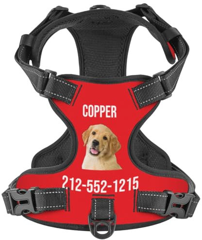 WINKEEY Hundegeschirr Personalisiert Geschirr Hund Sicherheitsgeschirr Welpengeschirr Brustgeschirr Mit Namen Telefonnummer anti zug, atmungsaktiv, reflektierend Für Kleine Mittelgroße und Große Hunde