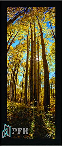 Photo Frames Black 98cm x 33cm Modern Flat Style Wood Picture Poster Frame Front Acrylic Glass