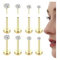 Chriscoco 4Paar 18G/20G G23 Titan Labret Piercing Nasenpiercing Stecker Lippenpiercing CZ Piercing Ohr Monroe Medusa Piercing Helix Tragus Piercing Gold 1.5/2/2.5/3mm