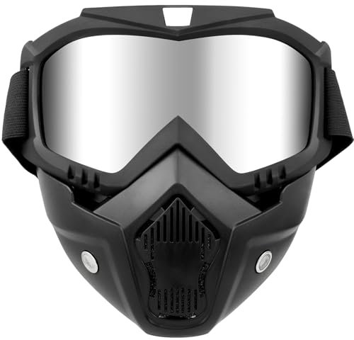 DREAMIZER Motorradbrille Abnehmbare, Staubschutz Motorrad Maske Motorrad Schutzbrille Brille Winddicht Gesichtsmaske Helm Nebelfest Reiten Fahrrad Dirtbike Motocross für Damen und Herren