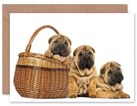 Wee Blue Coo CARD GREETING SHARPEI PUPPY DOGS BASKET