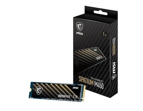 MSI M450 PCIe 4.0 NVMe M.2 1TB V1 - Disque SSD Interne 1 to, PCIe 4.0 NVMe M.2, Lecture 3400 MB/s & Écriture 2400 MB/s, 3D NAND, Sécurité des Données Intégrée, 350 TBW, Garantie 5 Ans