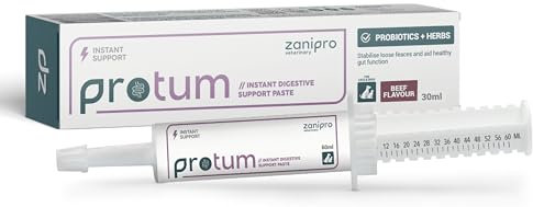Zanipro Probiotische und Präbiotische Paste für Hunde und Katzen gegen Durchfall – Durchfallmittel Hund & Katze, Prä & Probiotika für Hunde, Darmflora Aufbau & Darmsanierung (30ml) Rindfleisch