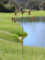 Garden Wind Spinner Stake with Birds, Metal Decorative Yard Art, Copper-Coloured. Handmade powder coated robin sculpture rocker and rain catcher standing at 150cm tall