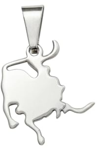 Vera Mentis Pendentif Signe Astrologique en Acier Inoxydable Argenté – 12 Symboles du Zodiaque – Bijou Spirituel Mixte – Cadeau Énergétique Personnalisé Homme et Femme (Lion)