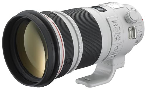Canon EF 300 f/2.8L IS II USM Lens