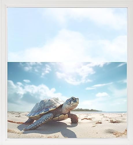 GRAZDesign Fensterfolie Blickdicht Sichtschutz, Sichtschutzfolie Fenster, Glastüren, Duschkabine, Milchglasfolie Bedruckt mit Motiv Schildkröte am Strand 80x57cm