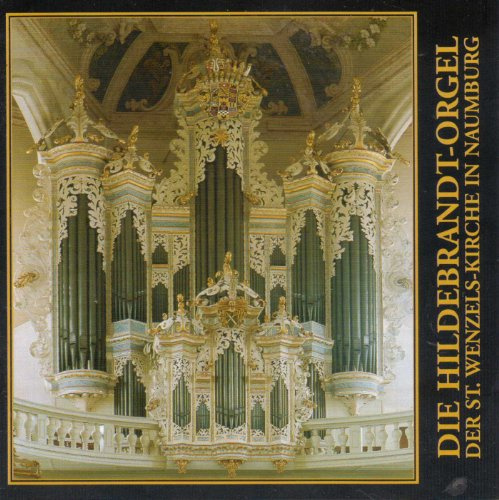 Rheinhardt Menger - The Hildebrandt Organ Of St.Wenzel Church In Naumburg