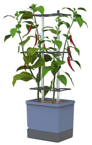 GUSTA GARDEN Charly Chili Chilitopf - Pflanzentopf mit Rankhilfe, Bewässerungssystem & Robustem Rahmen (Blau, XL)