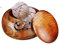 Joyeee bol de fil en bois avec couvercle, bol de fil de tissage en bois avec trous sculptés, accessoires de rangement pour tricot, bol de boule de fil rond fabriqué à la main