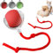 Interaktiver Rolling Ball - Hundespielzeug Mit Schnur, Automatisch Rollend für Kleine Hunde, Katzenspielzeug Elektrisch USB Aufladbar, für Katzen und Hunde