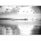 murando - Papier Peint Panoramique Intissé Paysage 350x256 cm - Revêtement Mural pour Salon - Moderne Décoration - Gris noir blanc - Lac des oiseaux l'eau le coucher du soleil c-C-10025-a-a
