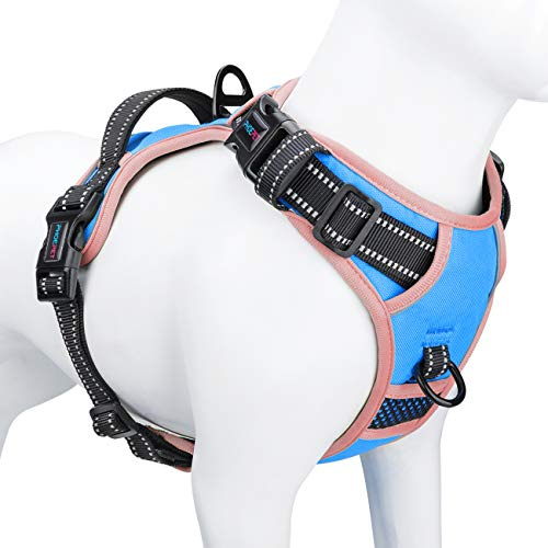 PHOEPET Hund Brustgeschirr, reflektierend, verstellbar, mit Trainingsgriff, 2 Metall-Leinenhaken, 3 Schnappschnallen, 4 Schiebeschnallen (XL, blau)