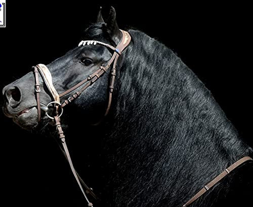 Tysons Breeches Trense Victoria Bro Braun Diadem ergonomisch Spanisch Barock VB WB Vollblut Warmblut (Vollblut)
