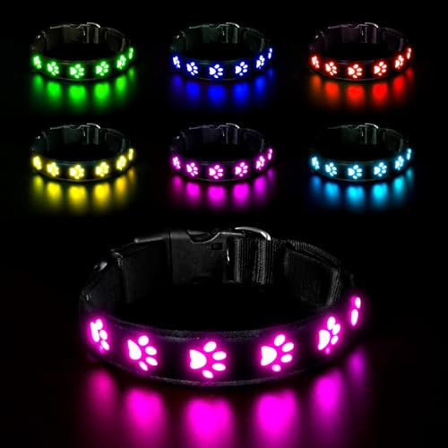 AUAUY Hundehalsband Leuchtend, LED Leuchthalsband Hunde Halsband USB Wiederaufladbar Wasserdichtes für Kleine Mittlere Große Haustier Einstellbar Sicherheit Kragen mit 6 Farben (Colorful-S)