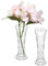 Klarer Kunststoff Knospen Vase Innjoii - Acryl Vase 2 Stück Moderne Einzelne Rose Flasche kleine Vasen Blumen Kristall Niedlich Billig Hochzeit Haus Esstisch Dekoration,1#