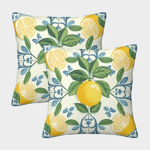 FPAKAKIIE Zitrone 2 Stück Kissenbezug, Thema Deko Kissenhülle Sofa Fruits Kissenbezüge Outdoor Garten Versteckter Reißverschluss Innen Deko 45x45cm