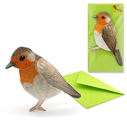 ROTKEHLCHEN Pop-Up-Karte / 3 D-Karte - mit Liebe gemachte Glückwunschkarte für Vogel-Freunde
