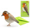 ROTKEHLCHEN Pop-Up-Karte / 3 D-Karte - mit Liebe gemachte Glückwunschkarte für Vogel-Freunde